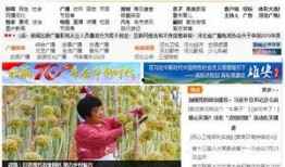 河北电台爆料视频下载安装,轻松获取热门资讯