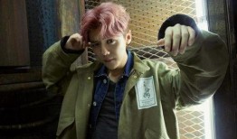 鹿晗最新消息爆料视频,独家爆料视频大揭秘