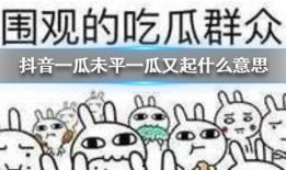 抖音吃瓜群免费,免费畅享娱乐圈最新资讯，带你领略网络社交新潮流