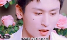 笑果最初爆料视频大全,揭秘娱乐圈幕后故事