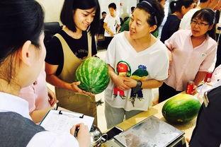 星娱乐吃瓜,吃瓜群众背后的真相大起底